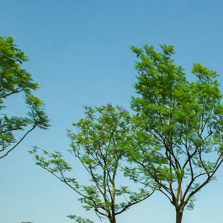 規劃設計公司-規劃vi設計公司