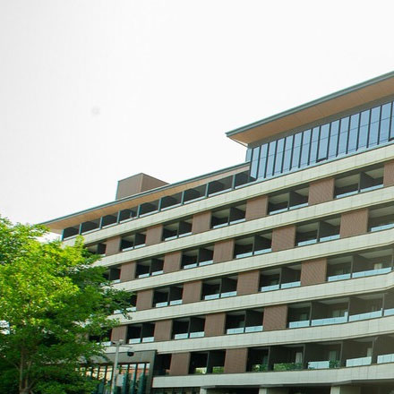 粽子品牌vi設計公司案例作品