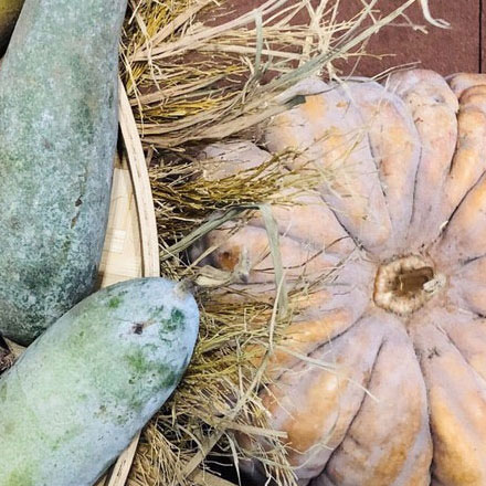 綠色食品標志使用權的有效期是幾年